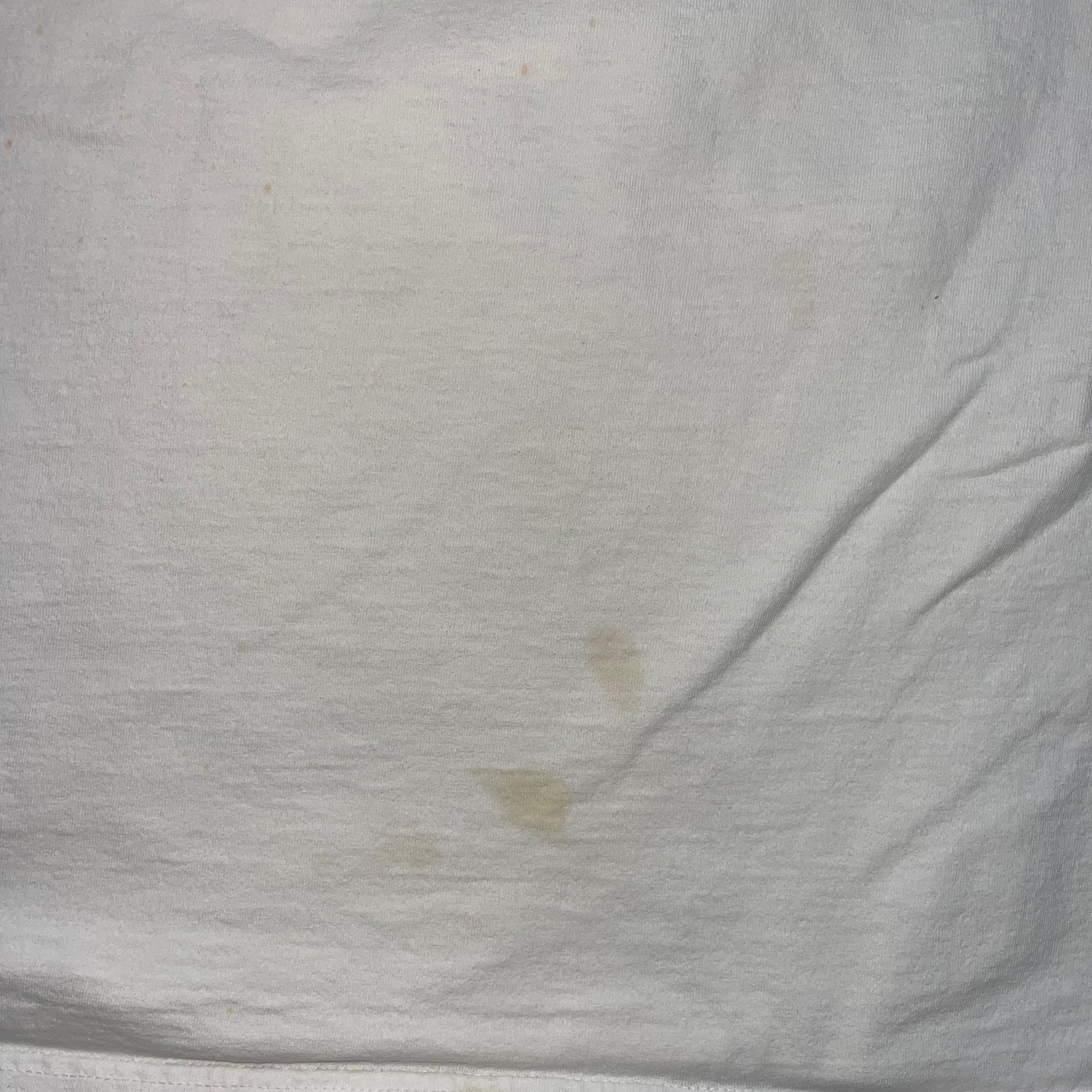 Georgia State Panthers Tee